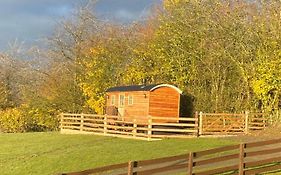 The Snug At Coed Y Gaer