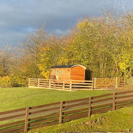 The Snug At Coed Y Gaer Villa Oswestry Exterior photo